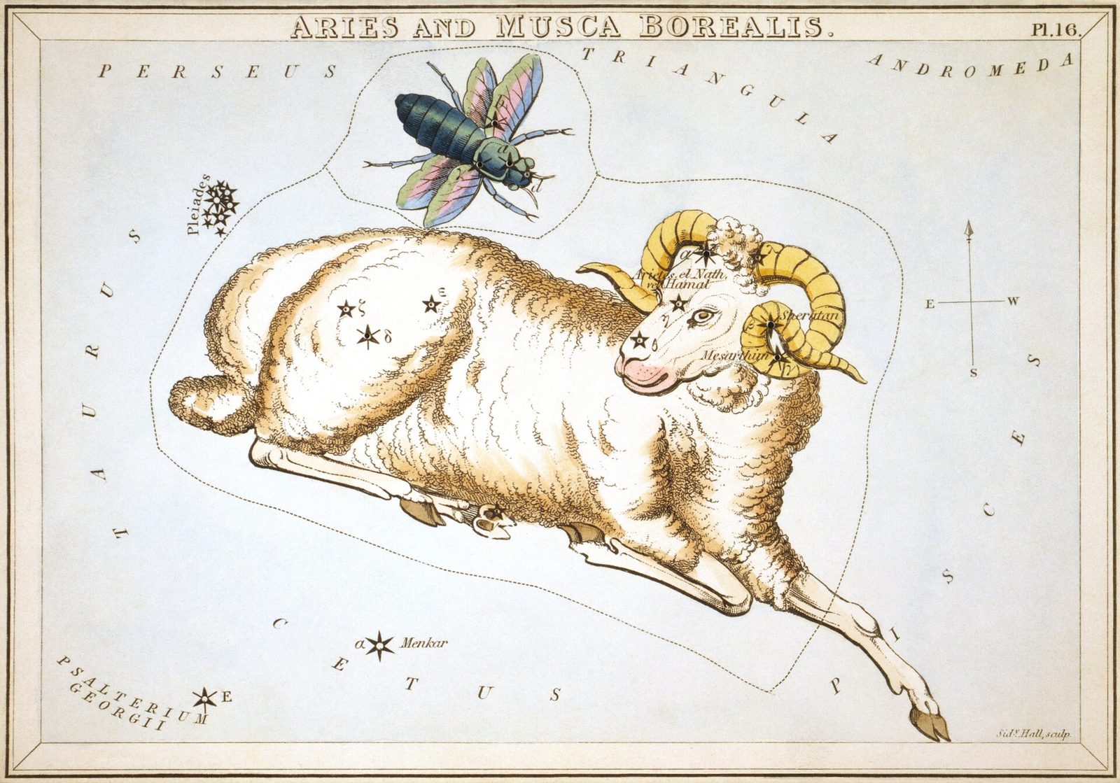 1825 Urania's Mirror card showing Aries the ram among the stars