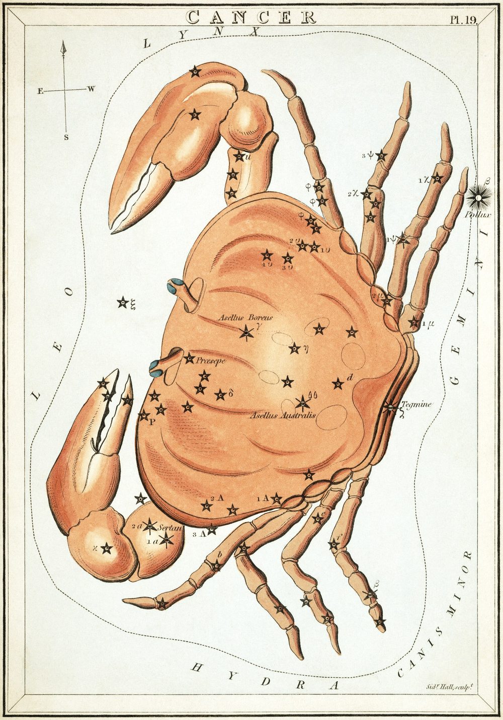 1825 Urania's Mirror card showing Cancer the crab