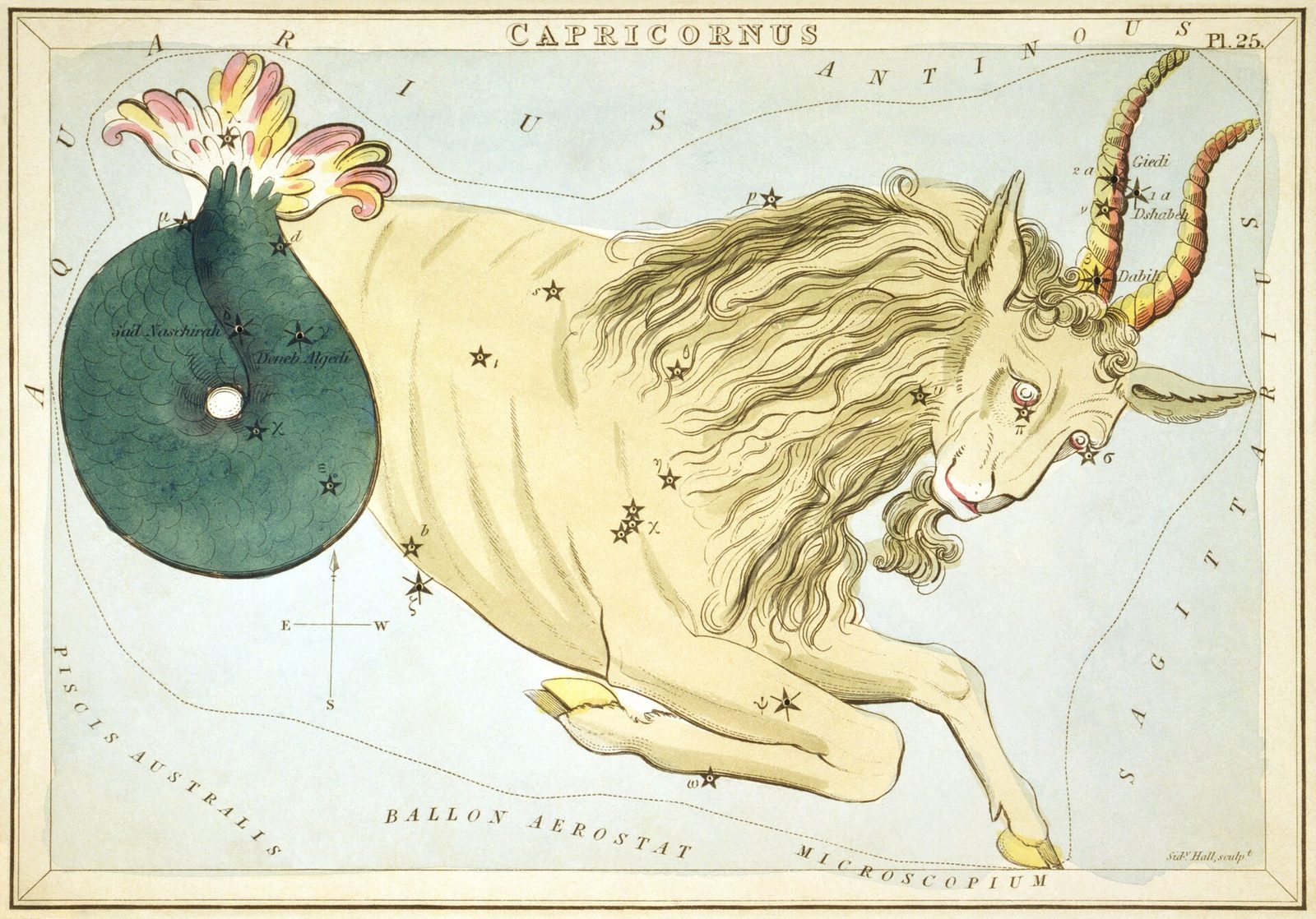 1825 Urania's Mirror card showing Capricornus the sea-goat