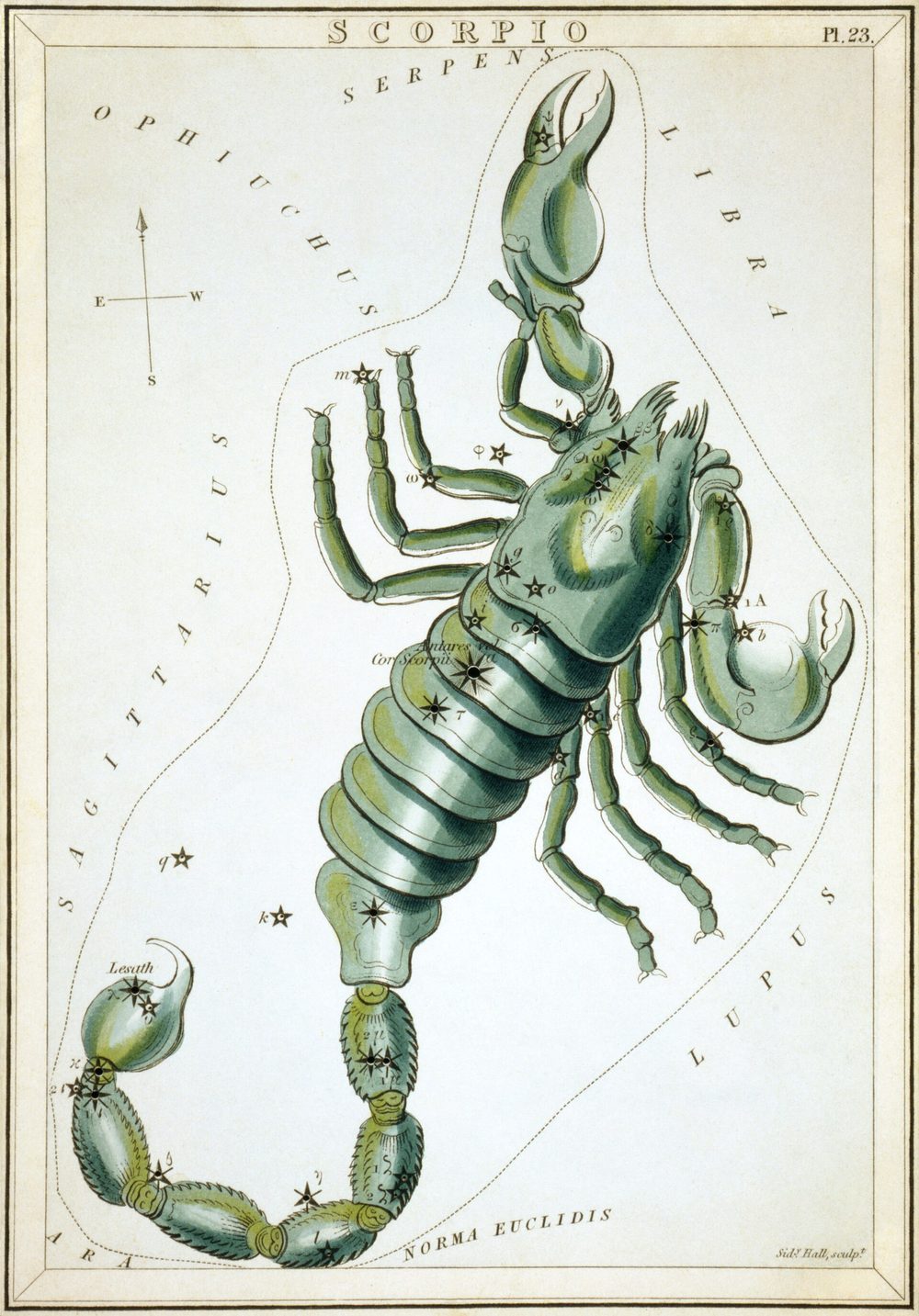 1825 Urania's Mirror card showing Scorpio