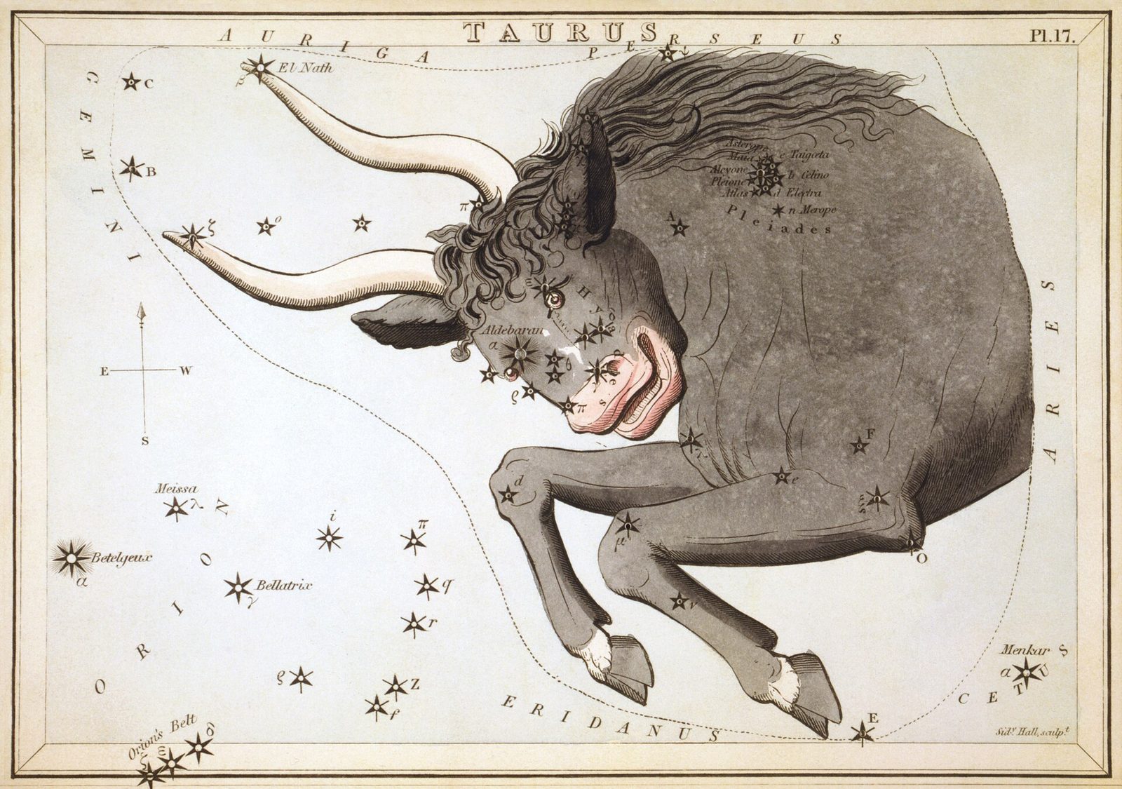 1825 Urania's Mirror card showing Taurus the bull